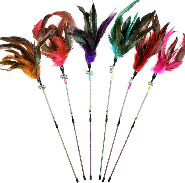 Jouets Pour Chat Avec Plumes Et Baguette Pour Chat Jouet En Forme De Plume