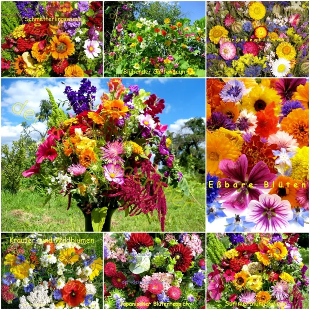 Sommer-Blumen-Wiese Blütenteppich Blumen-Mischung Blumenmeer Saat Samen Auswahl