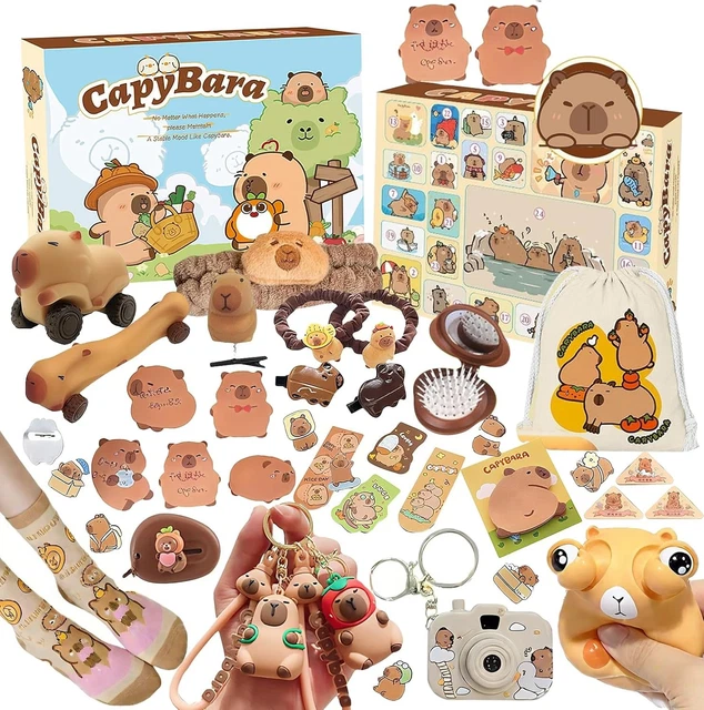 ChillPaws Capybara Advent Calendar - Fun and Cozy Gift Box for Christmas
