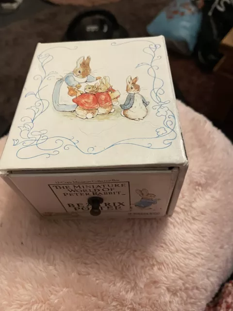 The Miniature World Of Peter Rabbit Beatrix Potter Miniature Storybooks In Box