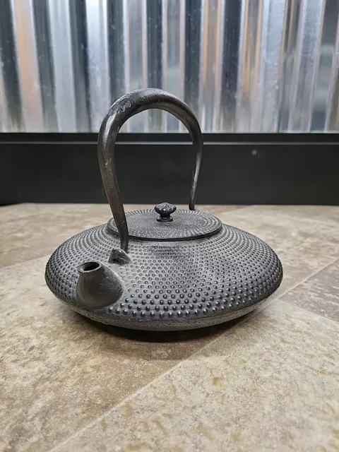 Beautiful Japanese Cast Iron Tetsubin Teapot 2