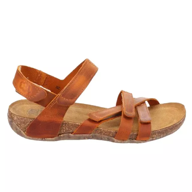 Loints Of Holland 37 FOR SALE PicClick UK