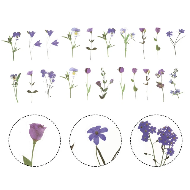 80 Sheets Pet Sticker Pack Floral Scrapbook Stickers Decorate Travel