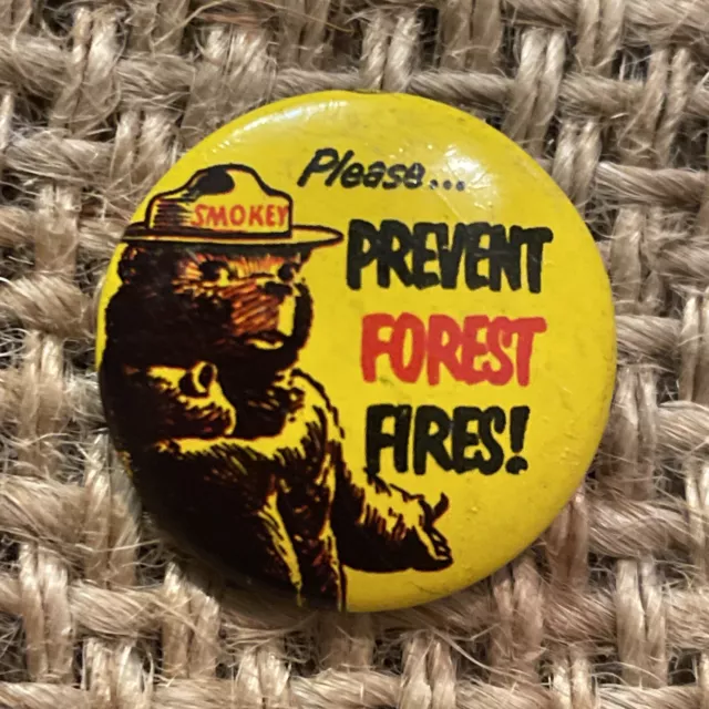 Vintage Green Duck Co Please Prevent Fires Smokey The Bear Button Pin