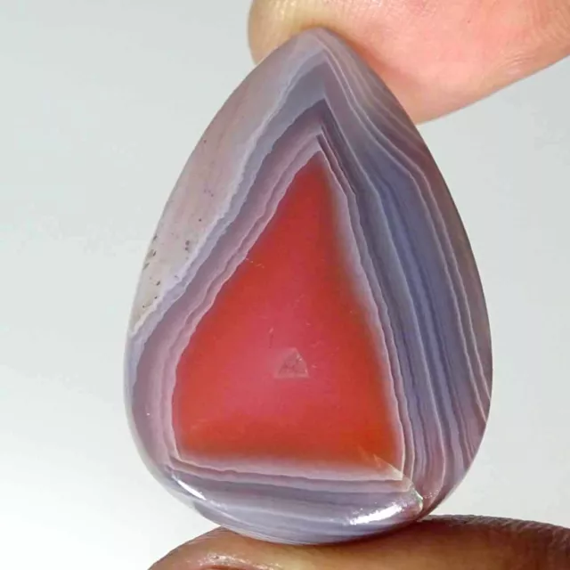 38.70Cts Natural Botswana Agate Pear Cabochon Loose Gemstone