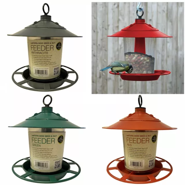 Garland Hanging Lantern Bird Seed & Nut Feeder Wild Bird Plastic Feeder 3 Colour