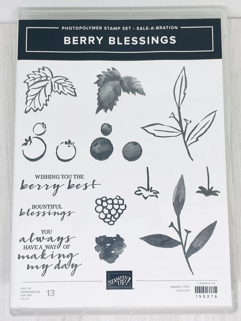 RETIRED STAMPIN’ UP! stamp set ‘Berry Blessings’ £5.04 - PicClick UK