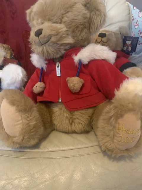 Harrods Christmas Bear 2007  Benjamin limited edition with fur trimmed coat