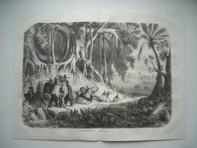 1864 Engraving. War Of The Indes. Calcutta View. Escaping English Family. Elephant.