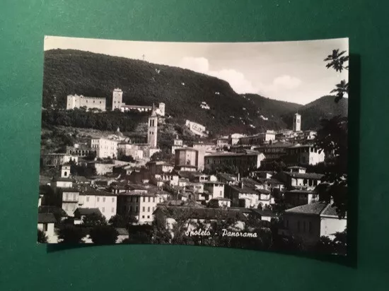 Cartolina Spoleto - Panorama - 1964