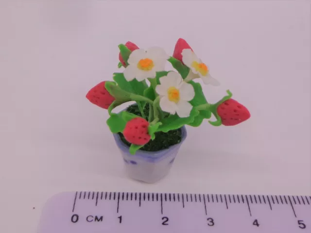 1:12 Scale Strawberry  Plants In A pot Dolls House Garden Accessory