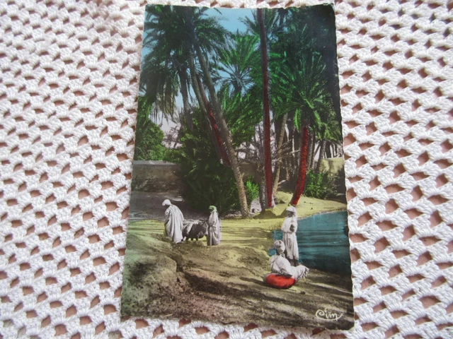 Carte Postale vintage animée années 50 MAROC Au bord de l'oued dans l'oasis