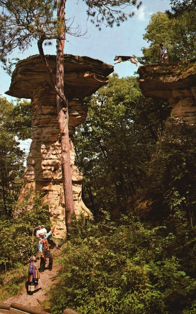 STAND ROCK TRAINED Dog Leaps Chasm Wisconsin Dells WI Postcard UNP VTG 