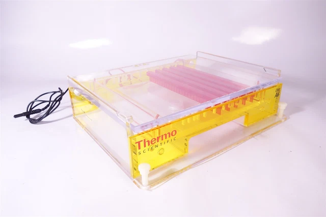 Thermo Scientfic Owl A6 Wide Gel Electrophoresis