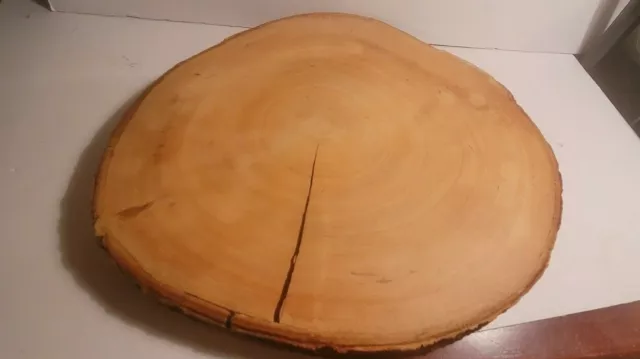 Natural Real Hard Wood Log Slice with Bark Trivet or potential art piece 10''