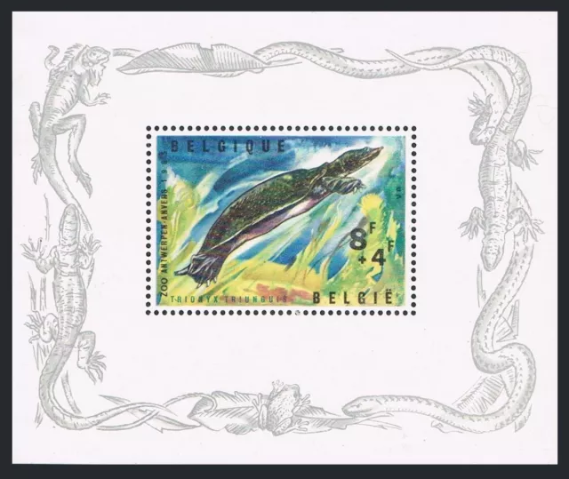 Belgium B783, MNH. Michel 1405. Antwerp Zoo, 1965. Nile soft-shell turtle.