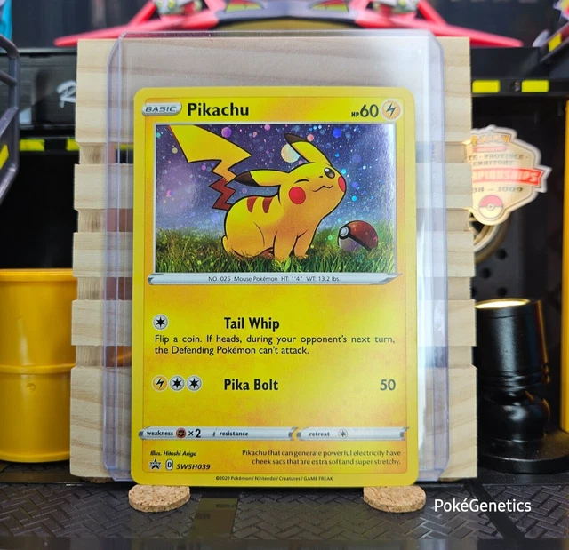 Pikachu SWSH039 Holo Pokémon TCG Sword Shield Black Star Promo