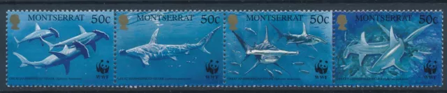 [82.349] Montserrat 1999 : Sharks / WWF - Good Set Very Fine MNH Stamps