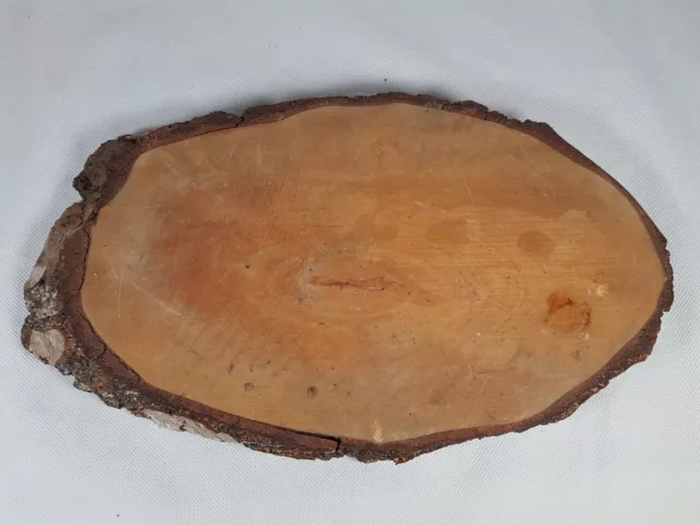 Losa de madera de abedul plateada tabla de madera dura losa corteza borde 37,5 cm largo x 26 mm de profundidad