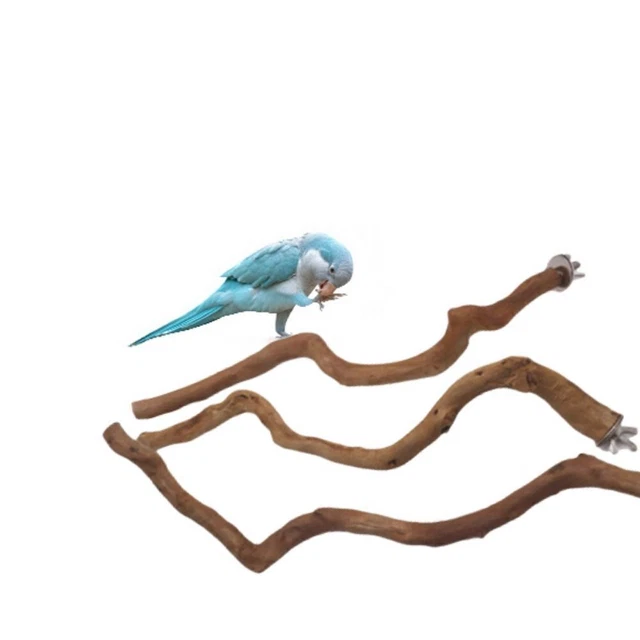 Holz Papagei Vogelständer Sitzstangen Haselnuss Vögel Wellensittich Spielzeug! 3