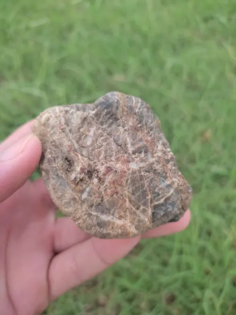 Rare Celestial Gemstone: Colorful Rock with Cosmic Stripes!