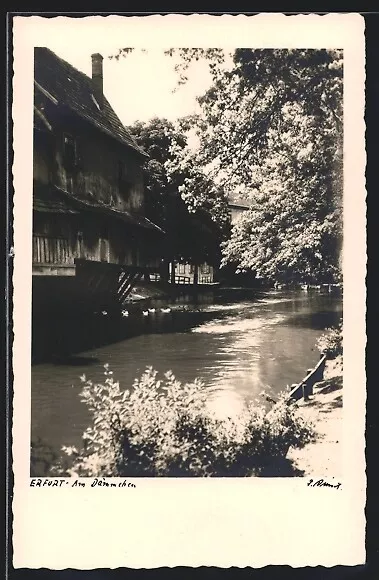 Ansichtskarte Erfurt, Flusspartie Am Dämmchen
