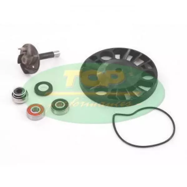 Aa00817 Kit Revisione Pompa Acqua H2O Piaggio Vespa Granturismo 125 2003-2005