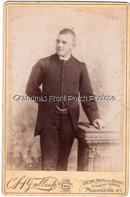 Cabinet Card Photo Handsome Young Man in 3 Piece Suit Poughkeepsie NY Backstamp