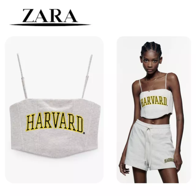 ZARA WOMEN'S HARVARD UNIVERSITY Crop TOP LARGE Grey Embroidery