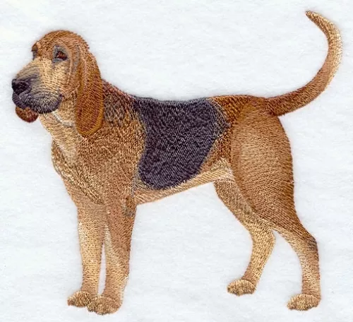 Embroidered Sweatshirt - Bloodhound C9625 Sizes S - XXL