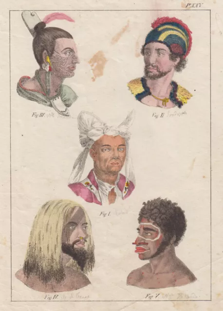 Australia Nueva Zelanda Pacífico Ethnologie 5 Cabezas Original Litografía 1820