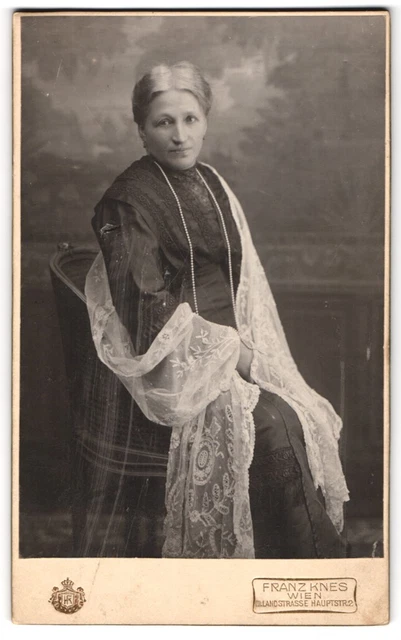 Fotografie Franz Knes, Wien, Hauptstr. 2, Bürgerliche Dame im Kleid mit Schleie