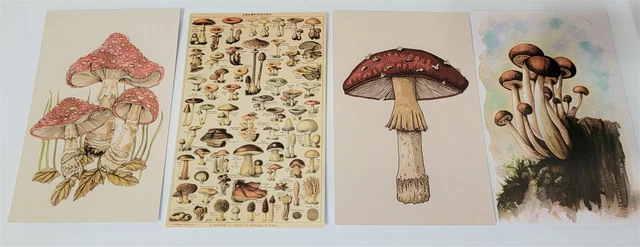 Victorian Trading 7 Asst Mushroom Planner Note Card Post Cards Frameable 28A