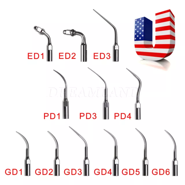 Dental Ultrasonic Scaler Endo Perio Scaling Tip Fit DTE SATELEC Handpiece SK