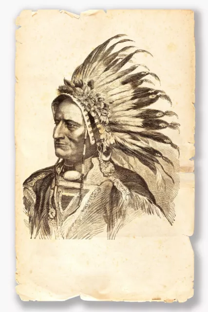 Sitting Bull Native American Tribal Chief 1881 Art Print Poster 12x18