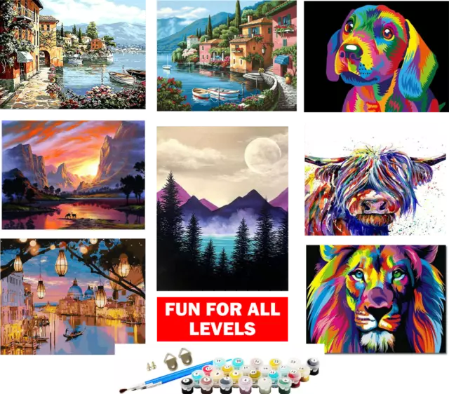 Paint By Numbers Oil Painting Kit Adult Children *ROLLED CANVAS NO CREASES* gift