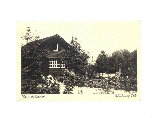 FOTO AK  SCHLEHDORF 1947 , Haus Lippert , Kreis Tölz Obb. > Oldenburg