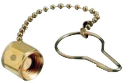 Chain & Plug Assemblies, Plug Assembly, 5,500 Psi, Air, Stainless Steel Western