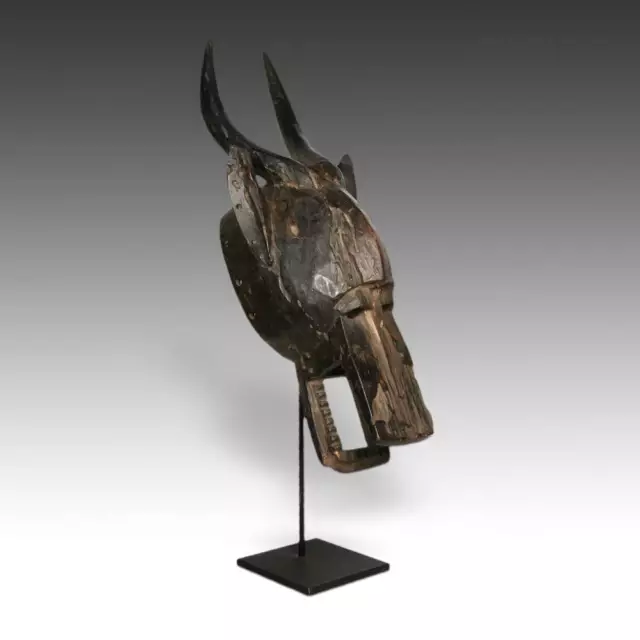African Zamble Antelope Mask Carved Wood Guro Ivory Coast West Africa 20Th C.