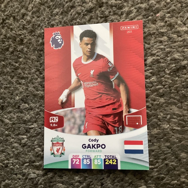 PANINI ADRENALYN XL Premier League 2024 20232024 Base Cards 190