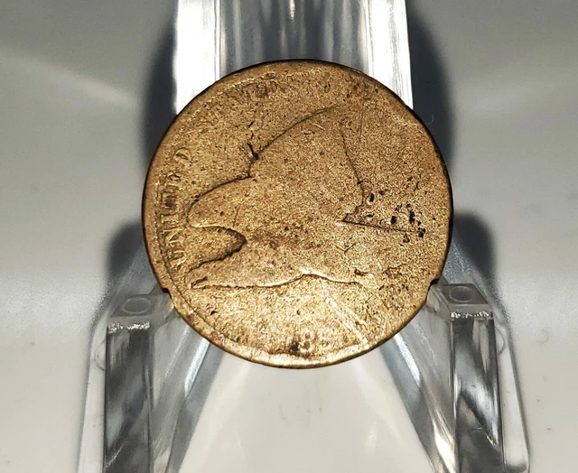 Cull 1857 Flying Eagle Cent 1c US Coin You Grade It H52