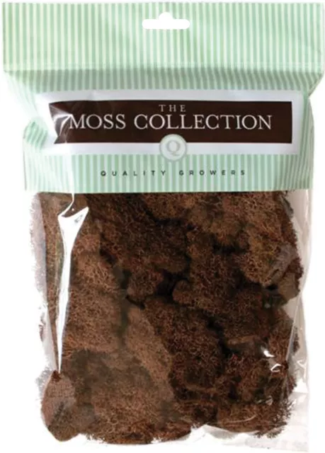 3 Pack Quality Growers Preserved Reindeer Moss 108.5 Cubic Inches-Walnut QG2053