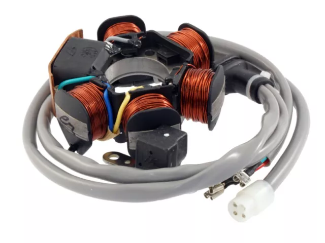 Stator Lichtmaschine RMS für Gilera Stalker Runner Piaggio Zip TPH NRG mc2