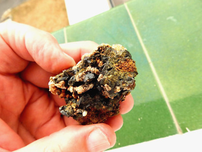 Minerales" Bonitos Y Perfectos Granates Negros Matriz De Ortosa Marruecos-7A22 "