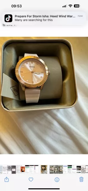 Fossil Ladies Blush/Rose Gold Watch