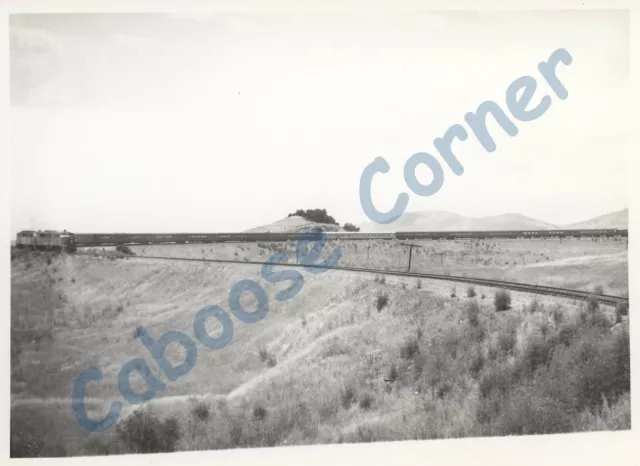 Southern Pacific Daylight #98 Horseshoe Cave near Goldtree 7x5 B&W Photo (0866)