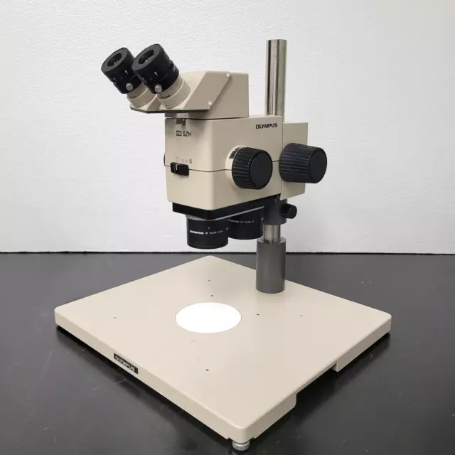 Olympus Stereo Microscope SZH with Dual Nosepiece and Gooseneck Illumination Olympus Stereo Microscope SZH with Dual Nosepiece and Gooseneck Illumination