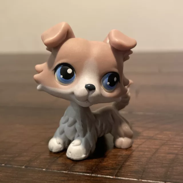 Littlest Pet Shop LPS Tan And Ivory Collie Dog Blue Dot Eyes 067