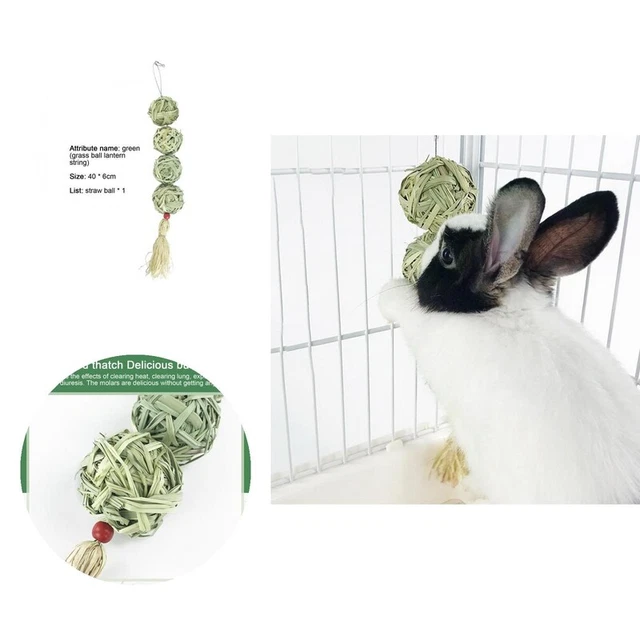Meerschweinchen-Spielzeug, nahrhaftes Zähneknirschen, Hamster, Kaugras, Snack,