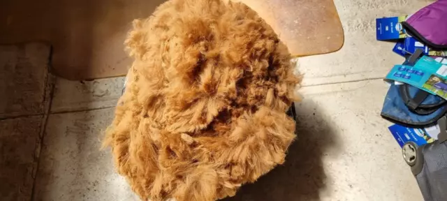 Rockleigh Alpacas - Alpaca Fleece - Brown - Chiquitita - 950g